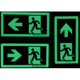 Directionele fotoluminescente mini-signalen 50 mm x 100 mm